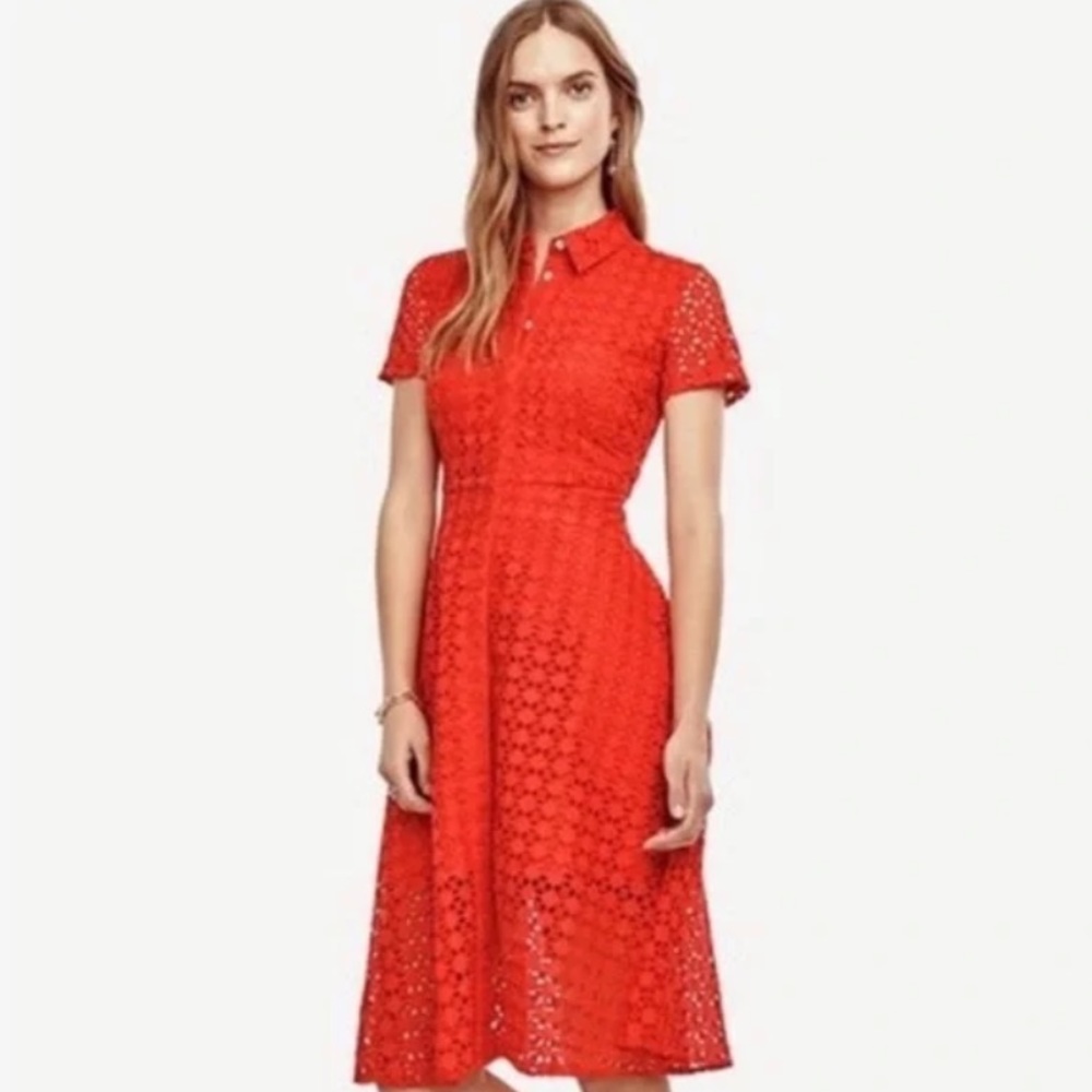 Ann Taylor Floral Eyelet Lace Shirt Cotton Orange Dress